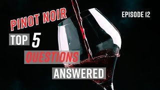 Episode 12 Top 5 Questions Answered About Pinot Noir  Wine tasting [upl. by Eahcim934]