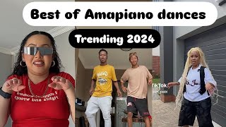 Best of TikTok Amapiano dances 2024 [upl. by Roberto]