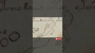 El Manuscrito Voynich DESAFIA a los Expertos por SIGLOS historia misteriossinresolver [upl. by Ydnelg]