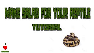 Tutorial How To Make Reptile FoodSalad  TheAnimalGuyTV [upl. by Mclaughlin881]