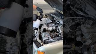 Dirty Engine Bay Transformation [upl. by Carlee]