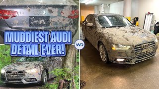 Deep Cleaning The Muddiest Audi A4 EVER  Insane Satisfying DISASTER Detail Transformation [upl. by Enak]