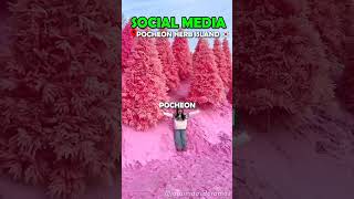 Social media vs Reality shortsvideo socialmedia reality [upl. by Somerville522]