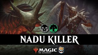 Never lose to Nadu EVER again [upl. by Kreiker]