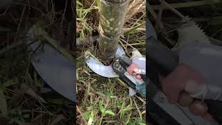 High Efficiency with Electric Bamboo Shears Gardeners Top Choice Modern Bamboo Cutting Solution22 [upl. by Mattheus]