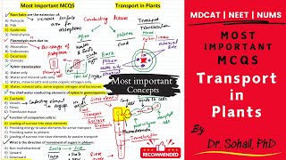 Most Important MCQS on Transport in Plants  MDCAT  NUMS  NEET  PPSC [upl. by Oileve]