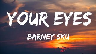 Barney Sku Your eyes Lyrics  quotyour eyes  ☑ got my heart falling for youquot [upl. by Bianchi494]