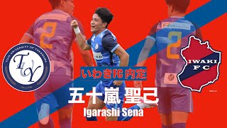 【いわきFC内定】五十嵐 聖己 プレー集 [upl. by Sadnalor]