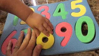 Dollar Tree Learning Numbers and Colors [upl. by Nosyk]