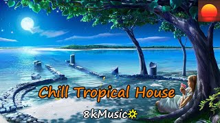 Avicii  Im Gonna Luv Ya Naxsy remix 💗Chill amp Tropical House 8kMusicStar [upl. by Tebor]