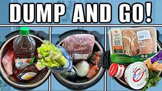 3 DUMP AND GO Instant Pot Freezer Meals  These Are SO EASY to Make [upl. by Abelard]