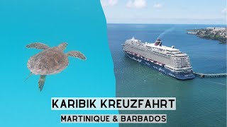 Weltreise VLOG 56  Karibik Kreuzfahrt Martinique amp Barbados Mein Schiff 2 13 [upl. by Dolan]