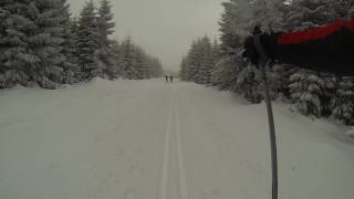 Langlauf im Schwarzwald Kaltenbronn [upl. by Kordula]