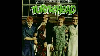 Turtlehead  I Preferred Their Earlier Stuff full album [upl. by Ahsinyar715]