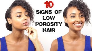 Top 10 Signs of Low Porosity Natural Hair [upl. by Erasmus490]