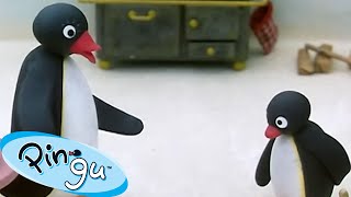 Pingu Gets Into Trouble 🐧  Pingu  Official Channel  Cartoons For Kids [upl. by Marala]