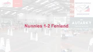 Flyball  2018 BFA Livestream Highlights [upl. by Einyaj680]