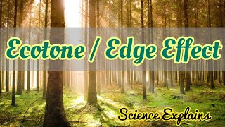 Ecotone  Edge Effect  Major Ecosystem  Biome [upl. by Laband]