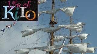 Sail 2015  Tall Ships in the port of Amsterdam [upl. by Patt]