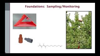 New Products and Approaches for Codling Moth Management [upl. by Costa896]