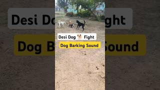 Dog Barking Sound  Dogs Fight Sound  Dog Barking Sound Effect  Desi Dog Barking  shorts dog [upl. by Philine]