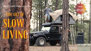 Under the Tall Pines of Gila National Forest  Signal Peak Fire Lookout [upl. by Mcclain]