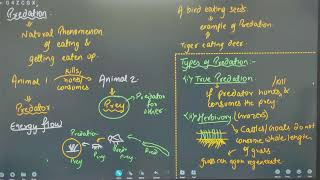 NEET 2025 BIOLOGY  ORGANISM AND POPULATION  POPULATION INTERACTION [upl. by Aiveneg]