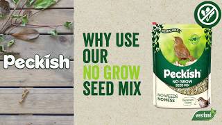 Why Use Our No Grow Seed Mix [upl. by Namharludba]