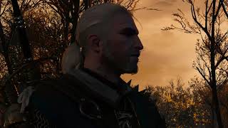 Witcher 3 Todos los Finales y slides  All endings and slides [upl. by Arakawa148]