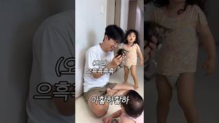 아기고양이 입양 가는 날 코숏 아기고양이 입양 [upl. by Smitty]