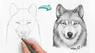 Cómo Dibujar un Lobo Realista a lápiz  paso a paso [upl. by Thenna]