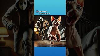 Sphynx Cat Vs Killer… funny memes [upl. by Jaco]