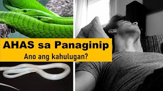 8 Kahulugan ng Ahas sa Panaginip Mga Swerteng Hatid [upl. by Jorgan]