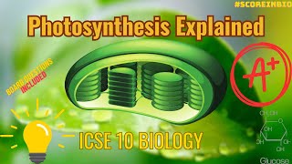 Mastering Photosynthesis Phases amp Chloroplast Structure  Board Questions  ICSE 10 Biology [upl. by Norvil]