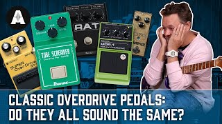 Classic Overdrive Pedals Do They ALL Sound the Same  Klon vs Tube Screamer vs Bluesbreaker [upl. by Jarrell]