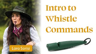 Into to whistle commands [upl. by Shulock]