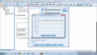 Análisis Bivariado en SPSS 19 [upl. by Aneehsor845]