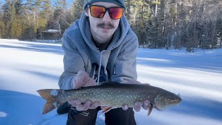 How to catch BROOK TROUT and SPLAKE ice fishing CLEAR UNDERWATER VIEW [upl. by Reppep]