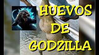 LOS DESVELADOS  HUEVOS DE GODZILLA [upl. by Hock]