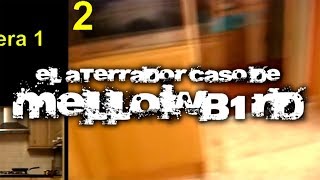 El aterrador caso de Mellowb1rd [upl. by Leibman977]