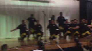 Maori Performance  Boys Haka  Petrie Meko  2015 [upl. by Leid]