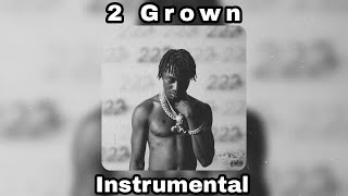 Lil Tjay amp The Kid Laroi  2 Grown Instrumental [upl. by Gensler995]