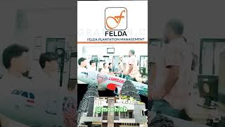 Felda Plantation Management indonesiadanmalaysia bekerjadimalaysia shorts [upl. by Buseck]