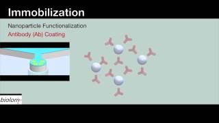 Immobilization ITNANO [upl. by Enelak]