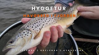 Hyggetur i fjorden  Havørredfiskeri [upl. by Etep]