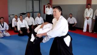 AIKI BUKIKAI deshi de SAITO SENSEI 201304078 [upl. by Idnahc854]