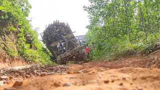 Truck Carrying Wood Tips Over on Treacherous Road Epic Recovery [upl. by Enilarac]