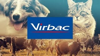 VIRBAC  Video Corporativo 2019 [upl. by Nuhs]