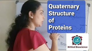 Quaternary Structure of proteins [upl. by Morville]