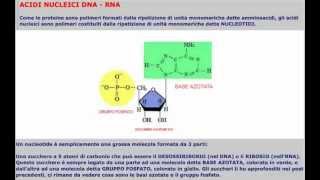 CORSO DI BIOLOGIA GENERALE  LEZIONE 19  NUCLEOTIDI E ACIDI NUCLEICI [upl. by Winn]